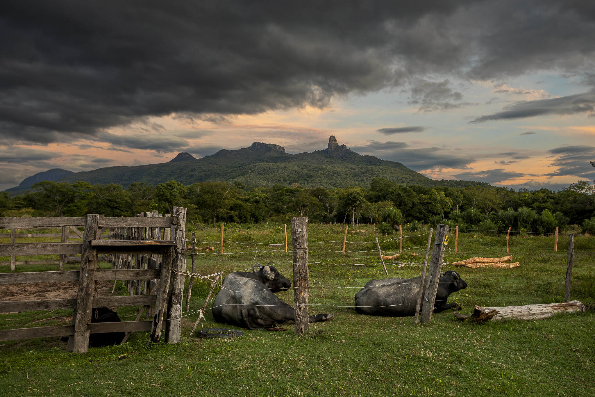 Imagem Expedição Cavalcante--23 da expedição de expedicoes/cavalcante_25